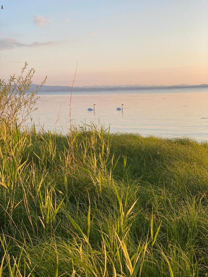 Ferien-Apartment Eisvogel Im Naturschutzgebiet Mit Privatstrand FDH Extérieur photo