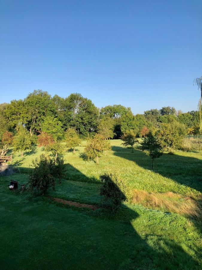 Ferien-Apartment Eisvogel Im Naturschutzgebiet Mit Privatstrand FDH Extérieur photo
